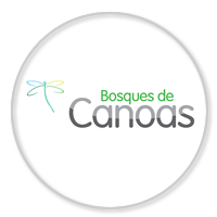 Bosque de Canoas